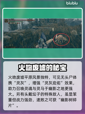 艾尔登法环🔥墓地平原通关秘籍，速来！截图4