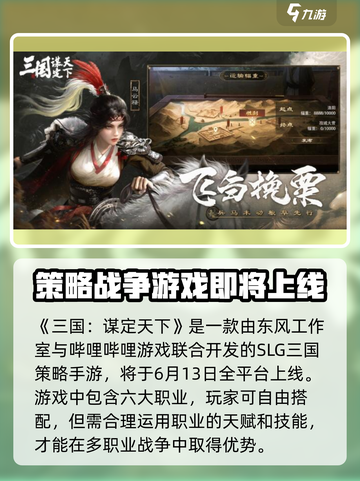 三国谋定天下是哪家公司的介绍截图2