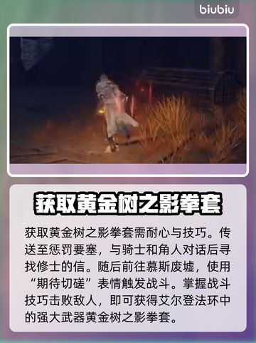 艾尔登法环🔥黄金树之影拳套获取攻略✨截图3