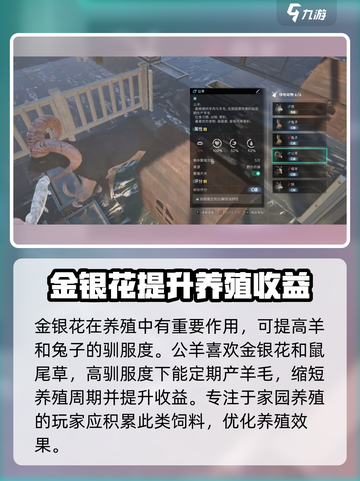 七日世界🔥金银花快速获取攻略💎截图3