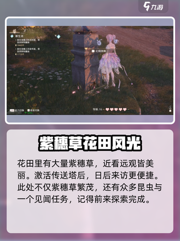 《无限暖暖》紫穗草花田传送点分享✨截图2