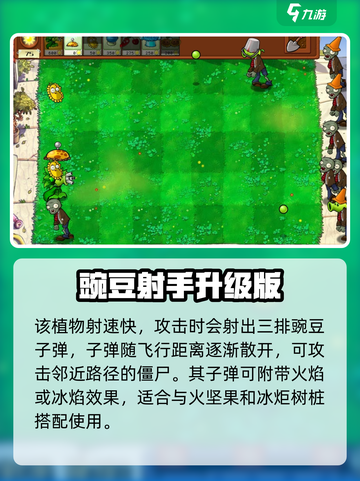 🎮植物大战僵尸杂交版：豌豆机枪实战攻略！💥截图3