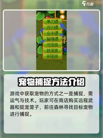 皮卡堂宠物怎么获得介绍截图2