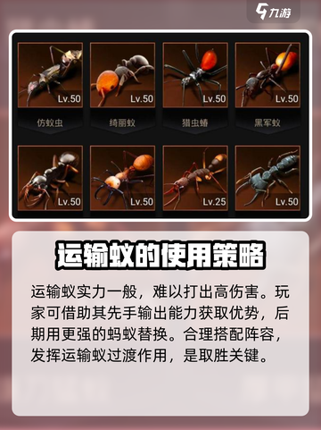 小小蚁国绮丽蚁好用吗介绍截图4