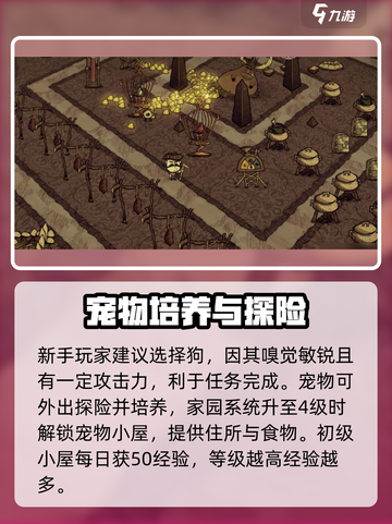 饥荒新家园🔥宠物探险玩法大揭秘！🎮截图3