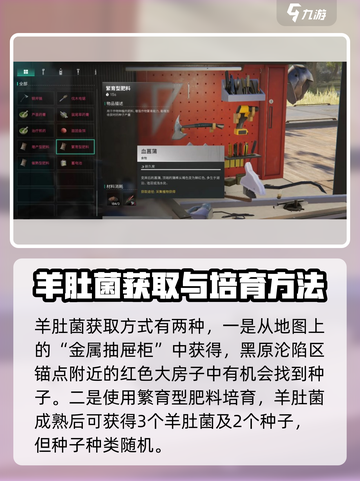 七日世界羊肚菌在哪介绍截图5
