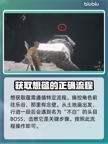 黑神话悟空✨想蕴获取攻略，快速收集秘籍！截图3