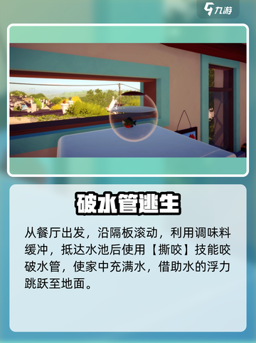 🔥《我是小鱼儿食人鱼》通关秘籍大公开！💥🐟截图2