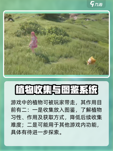 无限暖暖植物大揭秘！玩游戏名玩家必看🔥截图2
