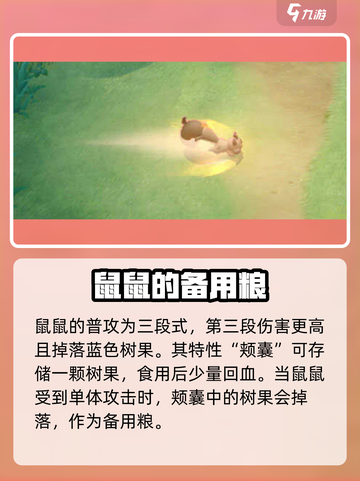 宝可梦大集结🔥藏饱栗鼠养成攻略来了！快人一步上分截图2
