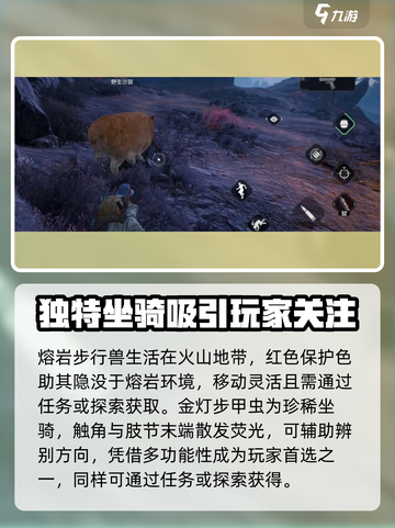 破碎之地🔥新手必看！坐骑选择全攻略🐎截图4