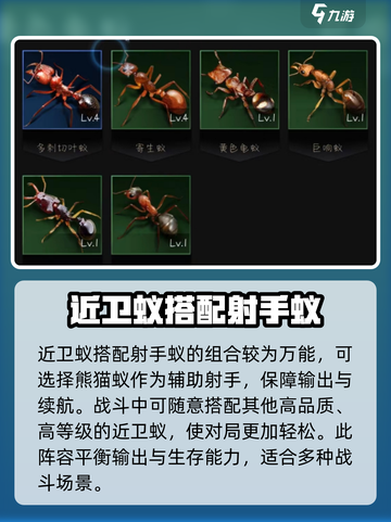 小小蚁国近卫蚁最强组合介绍截图4