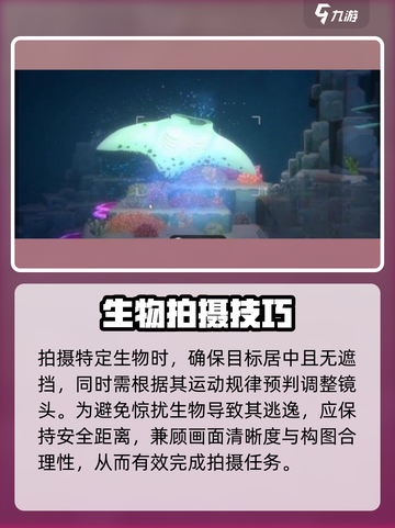 潜水员戴夫拍照怎么拍介绍截图3