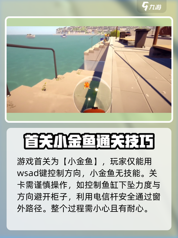 小鱼儿联机攻略💥《我是小鱼儿》超简单-Methods分享🐟截图4
