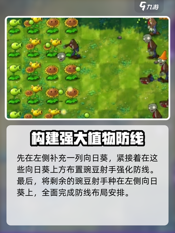 植物大战僵尸融合版第一关🔥通关秘籍💡截图4