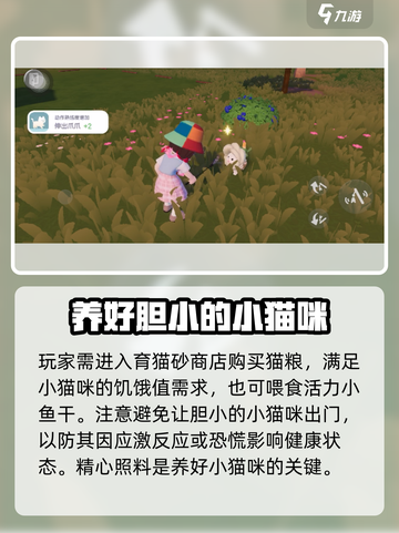 心动小镇养猫完全攻略🐱，云吸猫必备！截图3