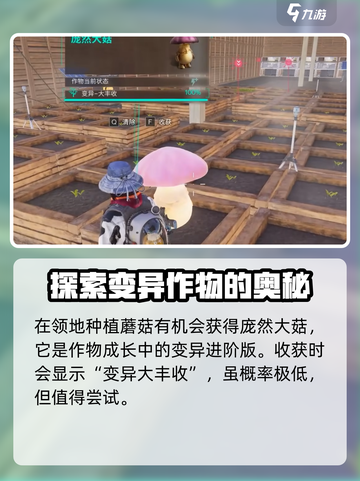 七日世界🔥庞然大菇收容攻略💡轻松搞定fungus！截图4
