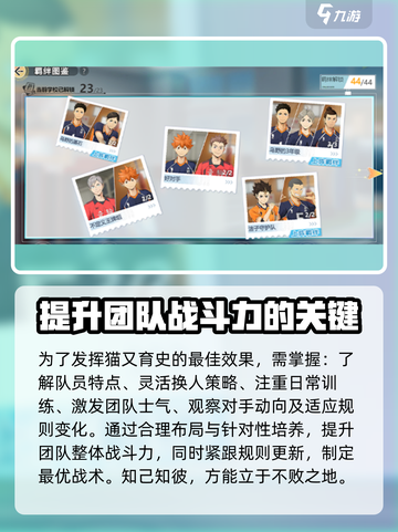 排球少年手游🔥猫又育史玩法大全🎉截图3
