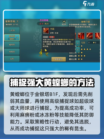 魔力宝贝复兴版🔥黄螳螂攻略大全来了！快收藏👇截图3