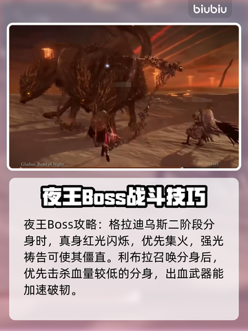 艾尔登法环黑夜君临🔥新手必看！极速开荒攻略✔截图5