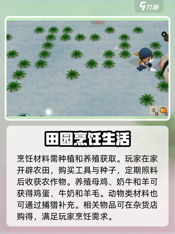 牧场物语重聚矿石镇💡食材存放攻略大全！截图2