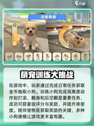 梦幻小狗攻略大全​介绍截图3