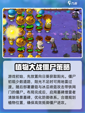 植物大战僵尸杂交版第10关通关秘籍🔥游戏技巧大公开！截图4