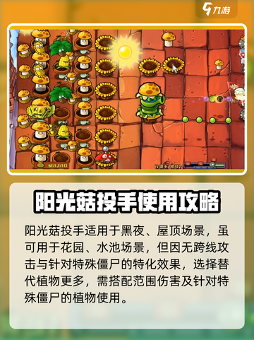 植物大战僵尸：阳光菇投手🔥超强攻略来啦！截图4