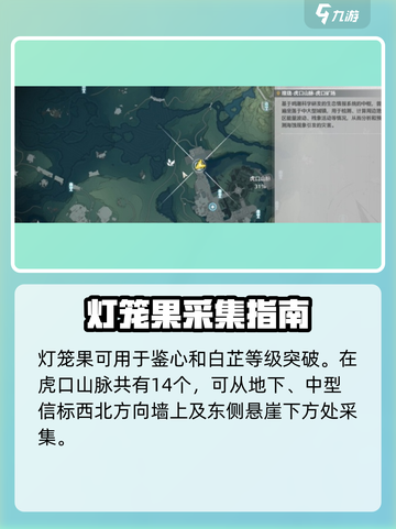 🎮鸣潮灯笼果全地图刷新点曝光！截图2