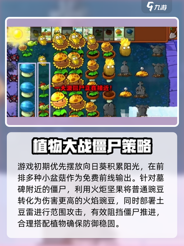 植物大战僵尸杂交版第六关通关秘籍💥游戏技巧大公开！截图2