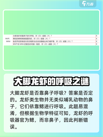 仙境传说新启航🔥答题全对攻略，助你称霸游戏！截图3