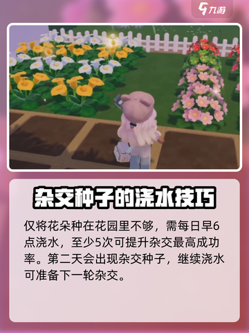 心动小镇粉色雏菊怎么培育介绍截图3