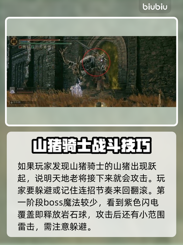 艾尔登法环黑夜君临偏地老将打法🔥超简单攻略！🎮截图2