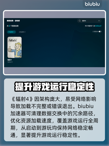 辐射4闪退？用这个加速器🔥绝对稳！🎮截图3