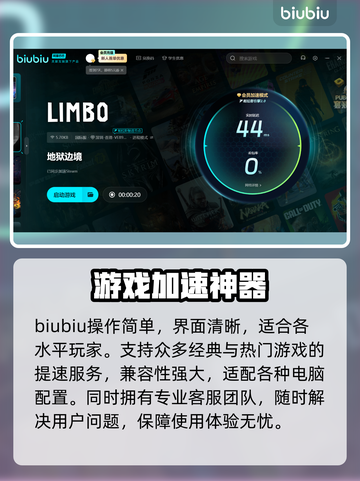 地狱边境延迟丢包？❌这份解决方案让你畅爽游戏🔥截图3