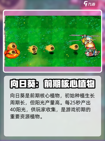 植物大战僵尸杂交版向日葵怎么样介绍截图2