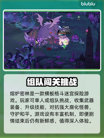 熔炉密林🔥闪退解决+加速器推荐🚀截图2