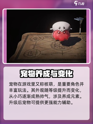 权力之望宠物培养攻略介绍截图2