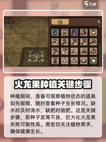 饥荒新家园🔥巨大火龙果种植秘籍💥截图4