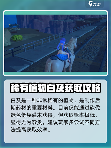 沙石镇时光🔥超稀有掉落物品大曝光！玩家必看💡截图5