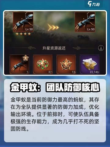 小小蚁国最强蚂蚁攻略🔥助你称霸蚁国！截图4