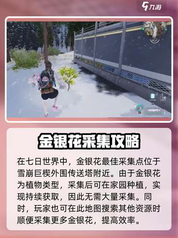 七日世界金银花怎么获得介绍截图2