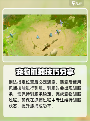 万龙觉醒🔥抓稀有宠物超全攻略💡截图3