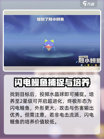洛克王国世界闪电鳗鱼在哪里获取介绍截图4
