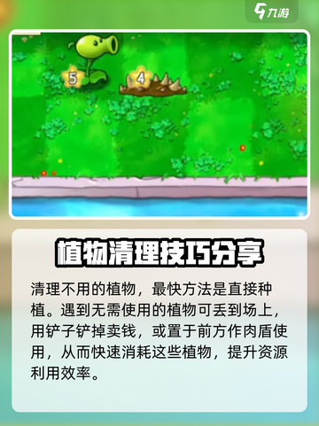 植物大战僵尸抽卡版卡槽怎么清空介绍截图3