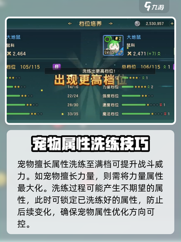 魔力宝贝复兴宠物洗练怎么做介绍截图3