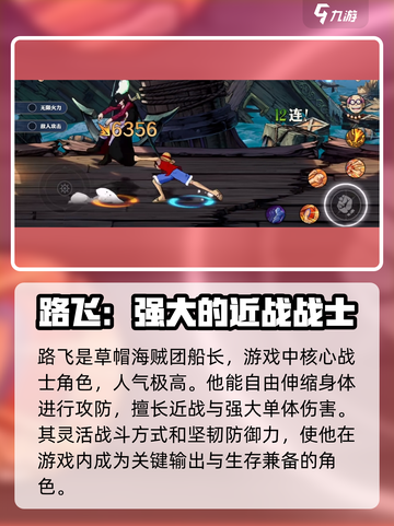 航海王壮志雄心主角是谁介绍截图2