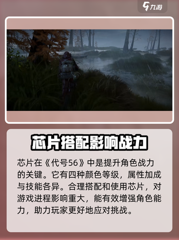 代号56芯片怎么获得介绍截图2