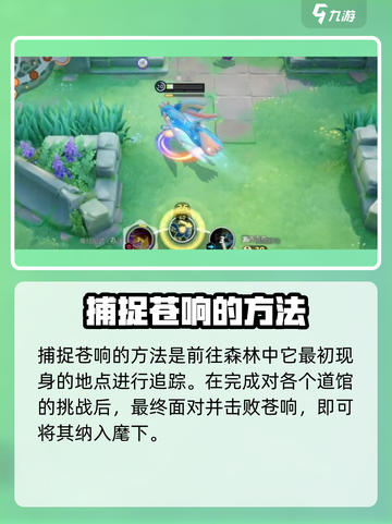 宝可梦大集结苍响怎么获得介绍截图4