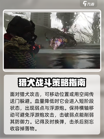 七日世界暗影猎犬通关秘籍💥，新手必看！🎮截图4
